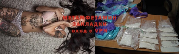 сатива Елизово