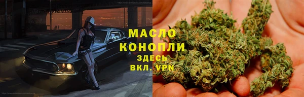 сатива Елизово