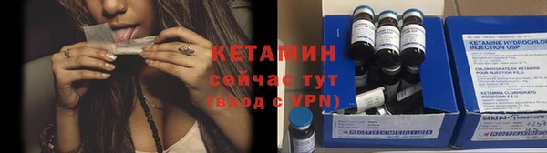 сатива Елизово