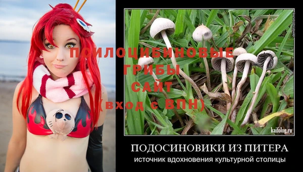 кристаллы Ельня