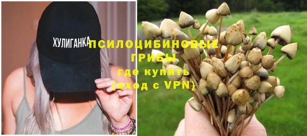 кристаллы Ельня