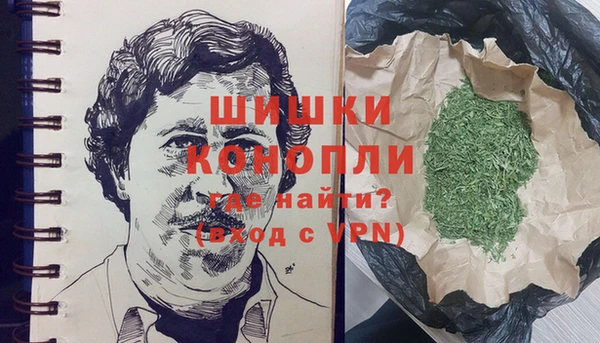 сатива Елизово