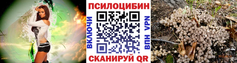 Псилоцибиновые грибы MAGIC MUSHROOMS  Себеж 